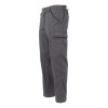 Летние брюки Brodeks KS 301, серый